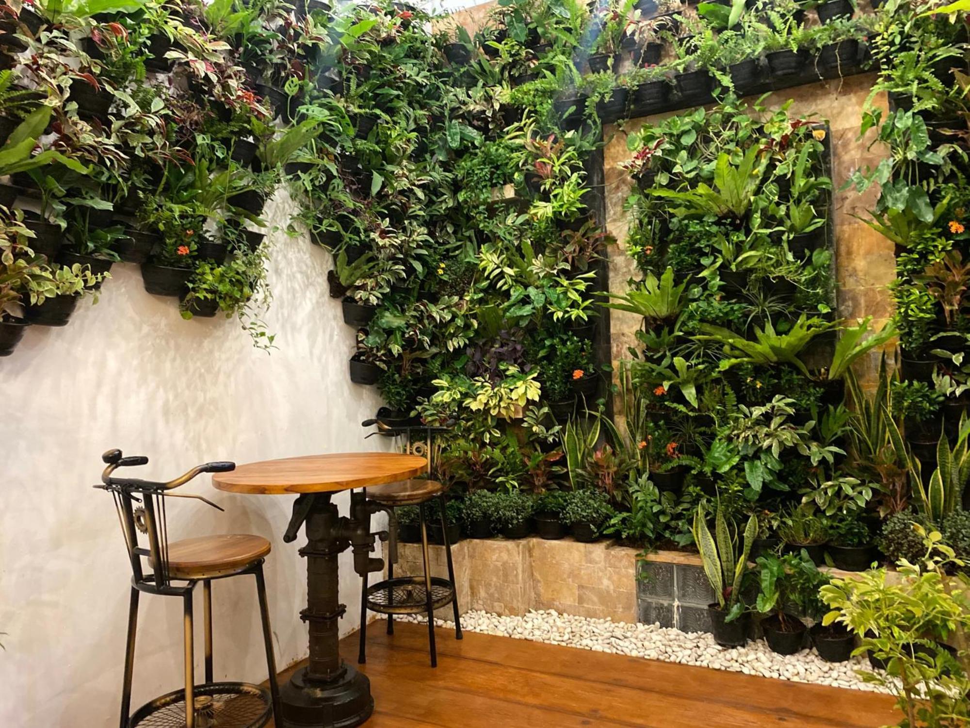 Revive By Snooze Hostel Banyuwangi  Kültér fotó